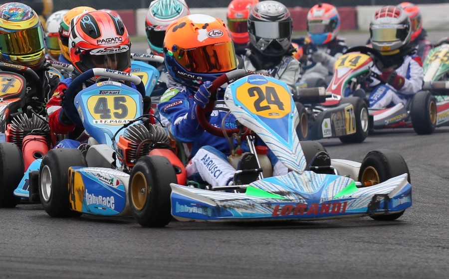 rok cup