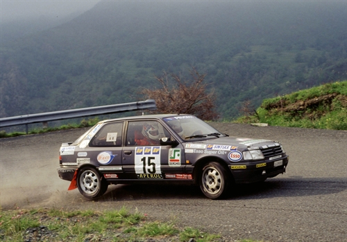 peugeot - andreucci